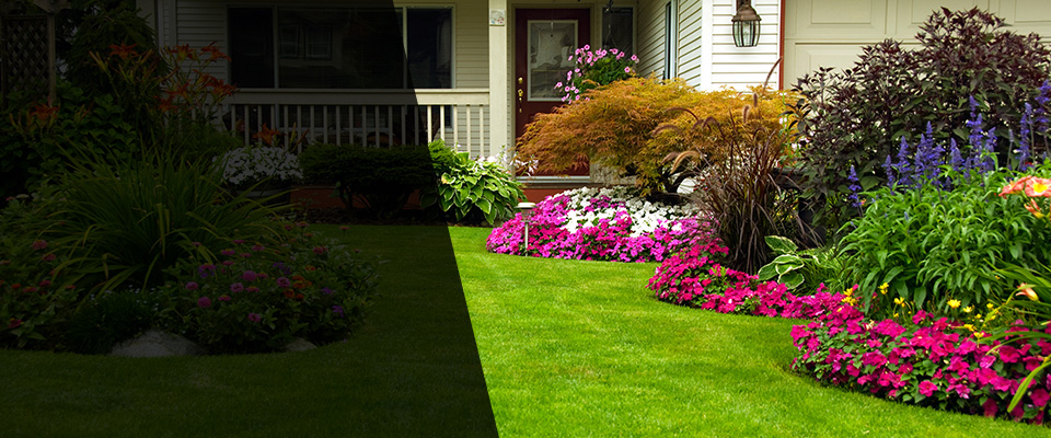 Lanham Landscapers