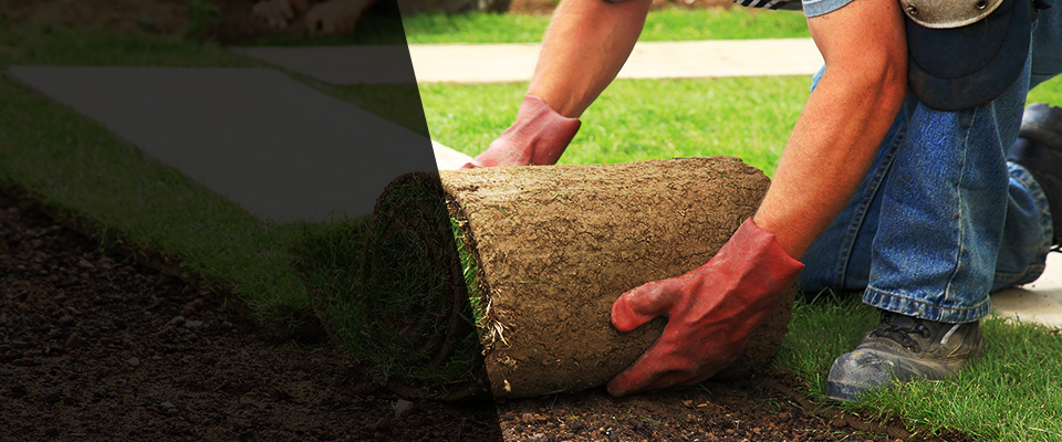 Lanham Landscapers